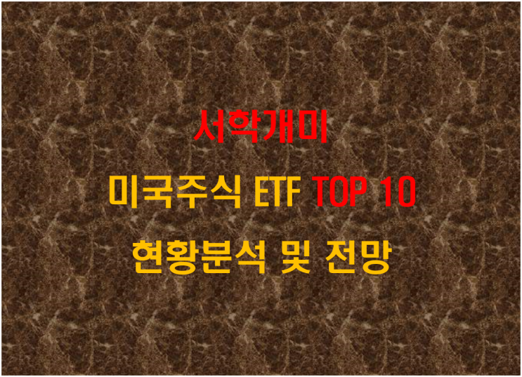  서학개미 미국주식 ETF TOP 10 현황분석 및 전망