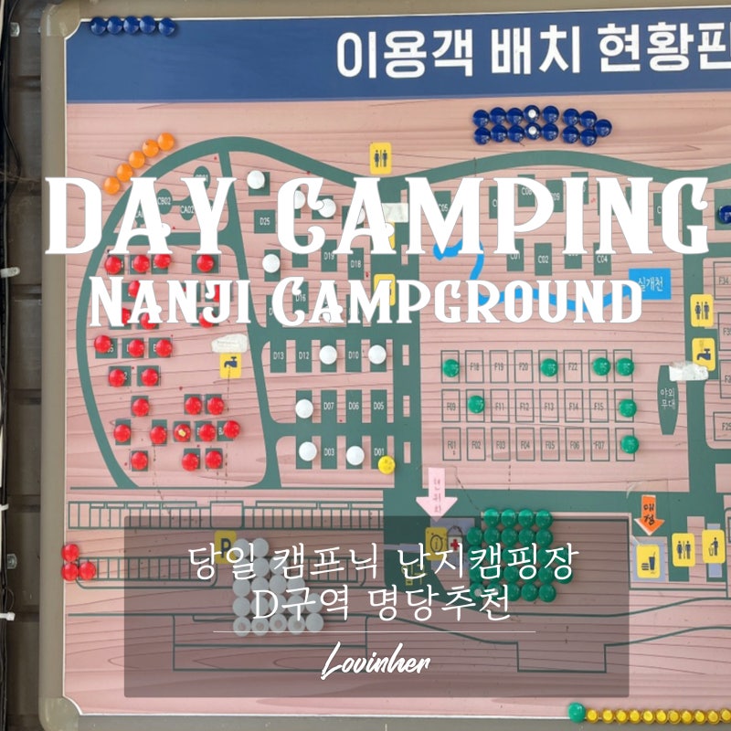 난지캠핑장 D구역 명당 추천 / 둥이네 당일치기 주말 캠프닉;)
