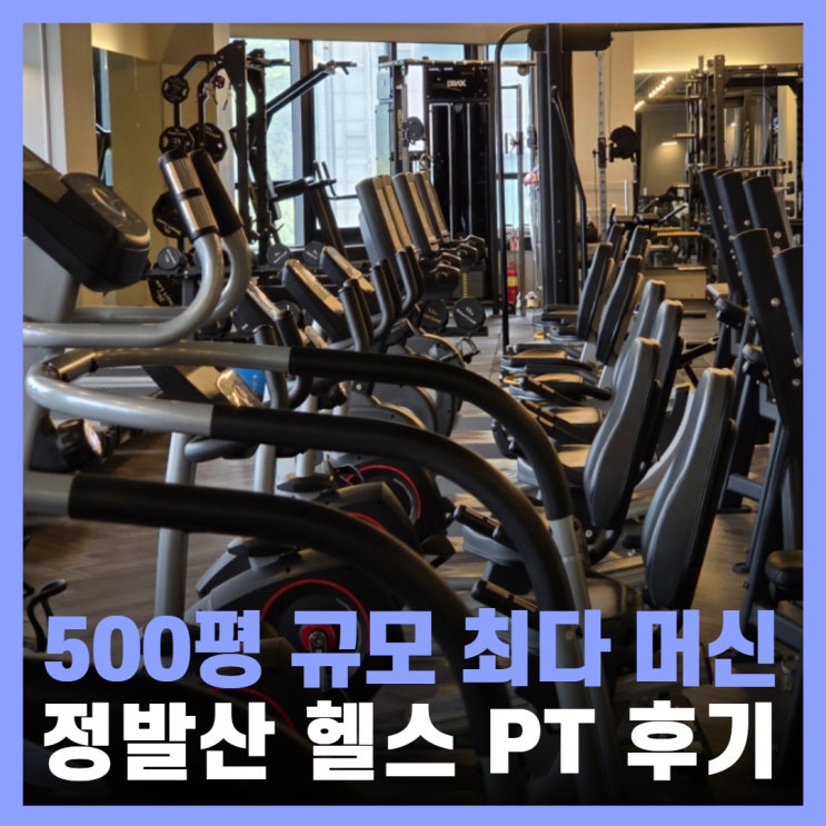  정발산 헬스 일산 PT 후기 맥스아웃휘트니스