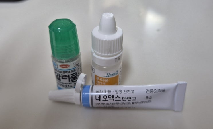  꽃가루지수 관련 아이 눈이 가렵고 충혈된다면? [봄철 꽃가루 알레르기]