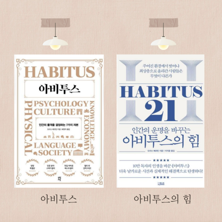  아비투스와 아비투스의 힘 차이점 비교 총정리