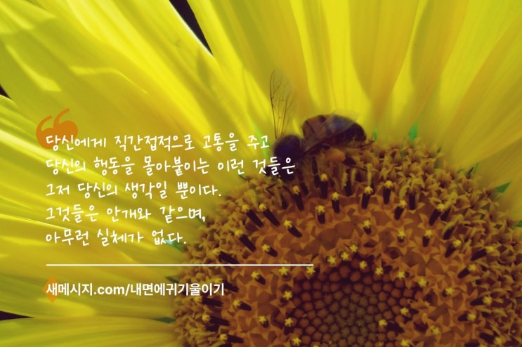 생각은 안개와 같으며, 아무런 실체가 없다 생각은 안개와 같으며, 아무런 실체가 없다