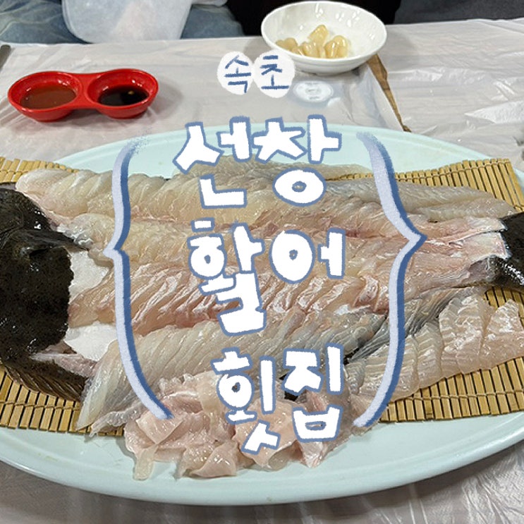  속초 동명항 선창활어횟집 내돈내산 리뷰 | 현지인 추천 횟집