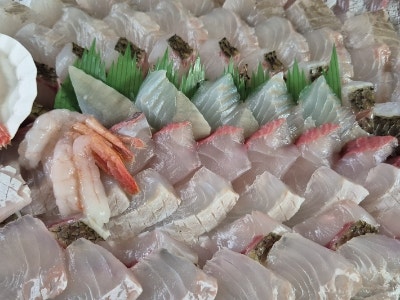  속초횟집 바다해풍 폭풍 후기 서울 사람들 몰랐으면 좋겠는 속초 회 맛집