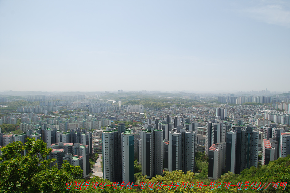 부개정 사진 7
