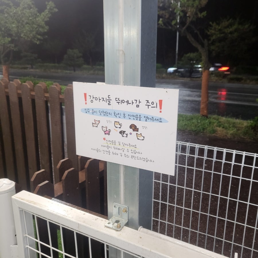 헤이댕댕 사진 4