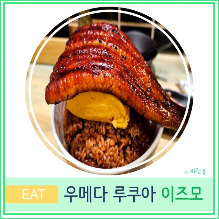 오사카 여행 우메다 루쿠아 백화점 현지인 장어덮밥 맛집 이즈모