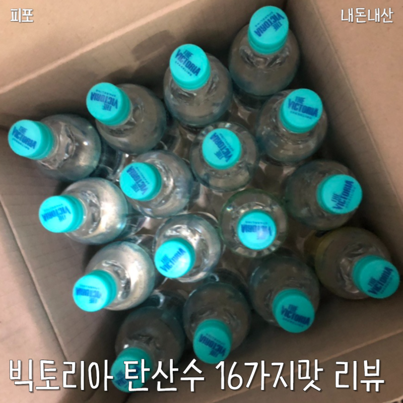 [다이어트식품] 웅진식품 빅토리아 탄산수 맛 추천 (16가지맛 기획세트 리뷰)