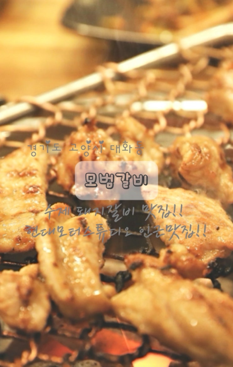  킨텍스 맛집 돼지갈비 명가 고양시 모범갈비