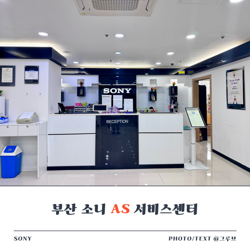 부산 소니 서비스센터 A7C2 이미지센서 클리닝 방문후기