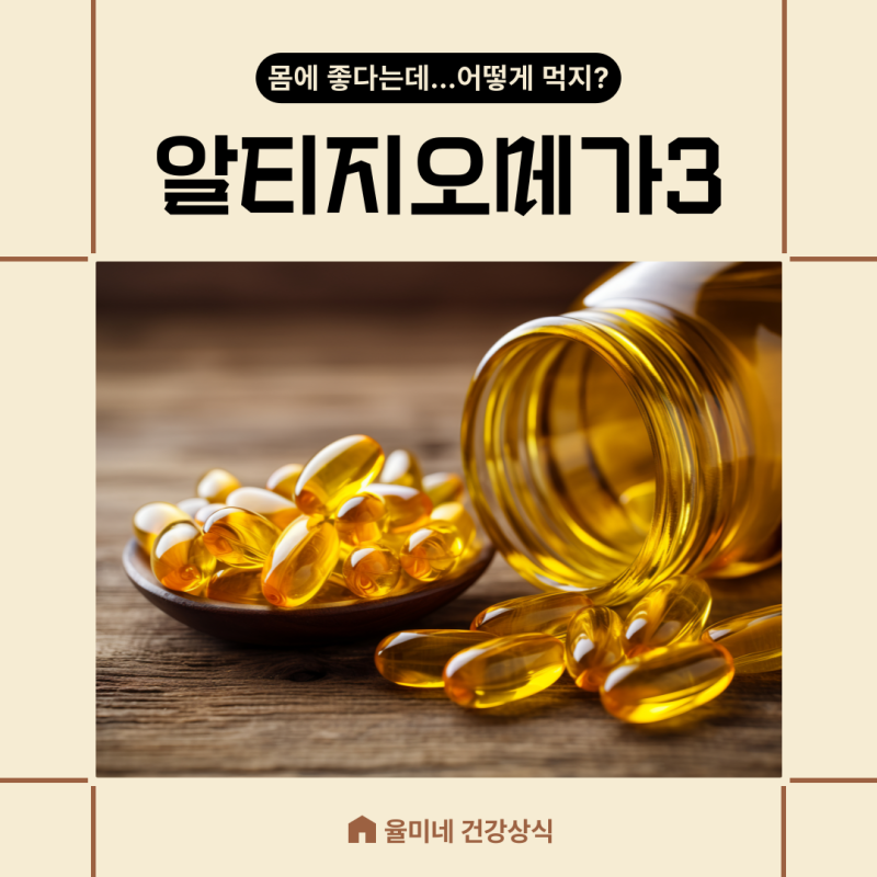 알티지오메가3 효능 먹는법 식물성 동물성 차이점 오메가3 종류 영양제궁합