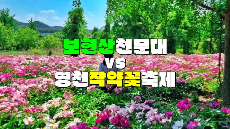 경북 영천 5월 꽃구경 가볼만한곳 · 2025 영천 작약꽃 축제 VS 보현산 천문과학관 일정 장소 주차장 경북 영천 5월 꽃구경 가볼만한곳 · 2025 영천 작약꽃 축제 VS 보현산 천문과학관 일정 장소 주차장
