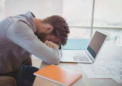 피로컷앤 멀티비타민 이뮨샷, 체력 증진을 위한 테아닌 효과!