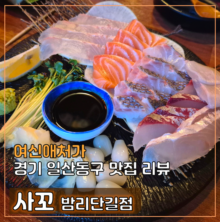  일산 밤리단길 맛집, 프라이빗한 이자카야 사꼬, 추천