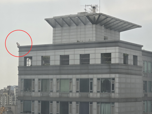  강남 19층 건물 옥상 투신 소동…2시간 대치 끝 '극적 구조'