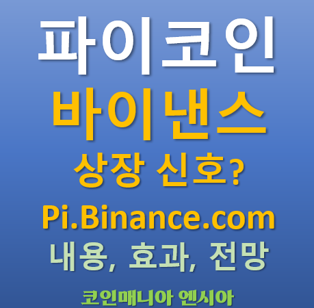  파이코인 바이낸스 상장 임박? Pi.Binance.com 도메인 연결 분석. 내용 효과 전망