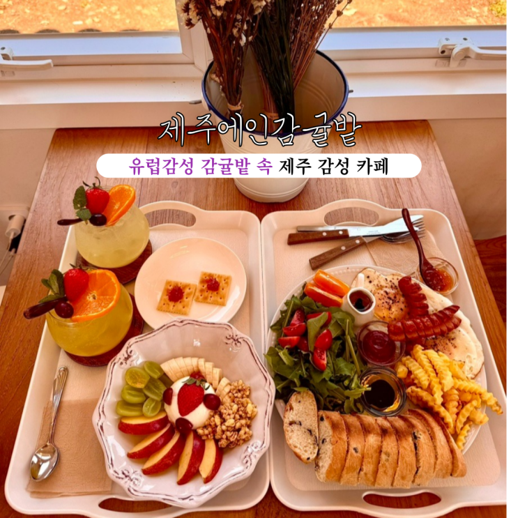  제주 브런치맛집 제주에인감귤밭 : 자연 풍경이 아름다운 유럽감성 제주 서귀포 감귤밭 속 감성 카페 [제주도 서귀포]