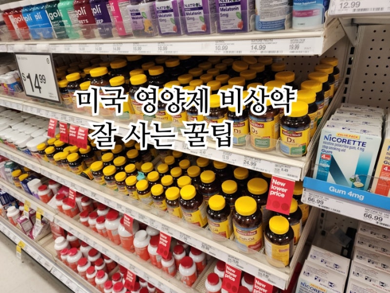 미국 여행 쇼핑리스트 월마트 타겟 영양제 약 추천