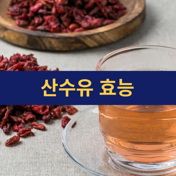  산수유효능 | 말린산수유 효능 | 자양강장과 갱년기 건강에 좋은 전통의 붉은 보약