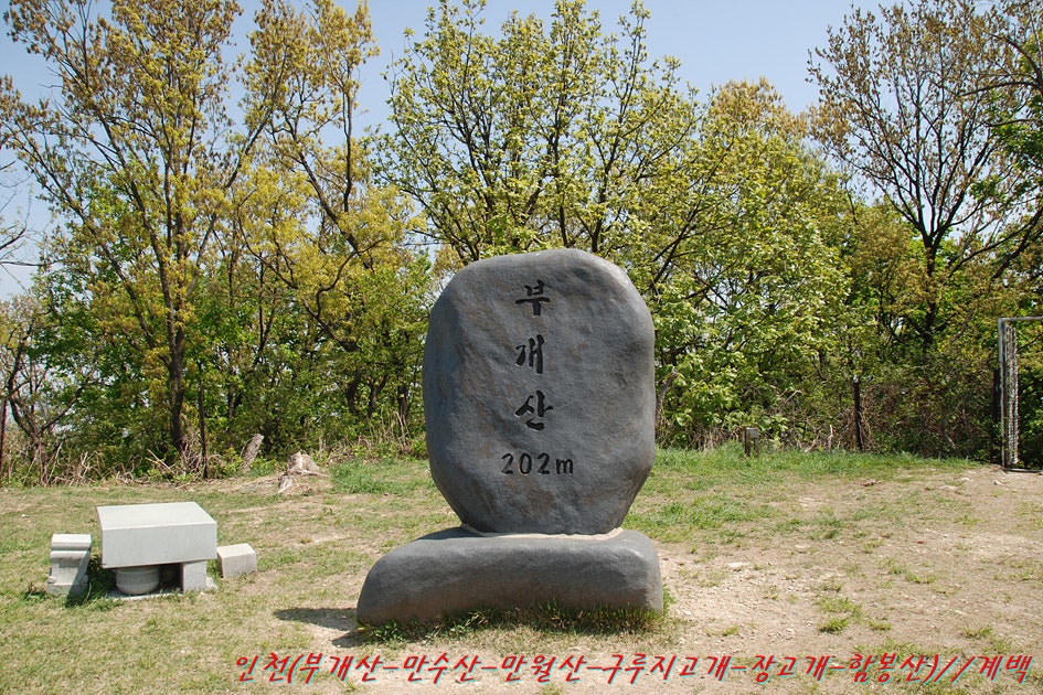 부개정 사진 2