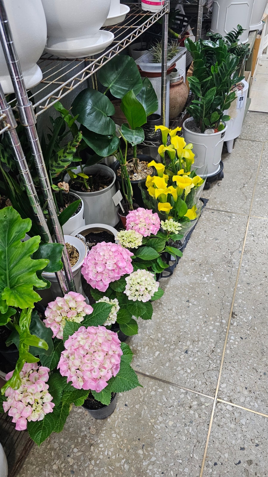 고운꽃방 사진 4