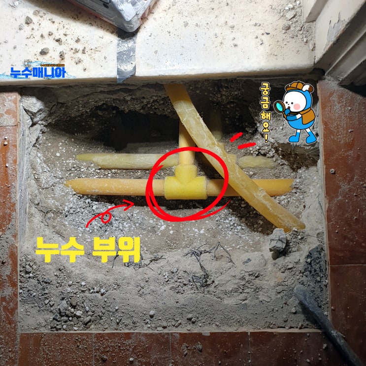  아파트 배관 누수 책임 윗집 바닥 문제 확인