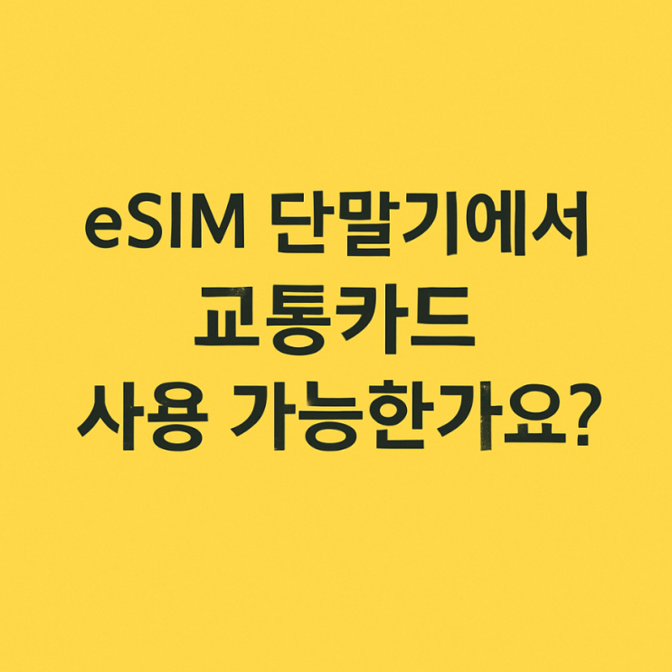  eSIM 스마트폰에서도 교통카드 OK! 설정법 완전정복