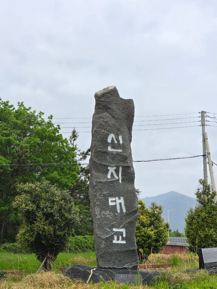 신지명사길 사진 1