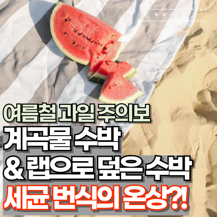  **여름철 과일 주의보** 계곡물 수박 & 랩으로 덮은 수박, 세균 번식의 온상?!