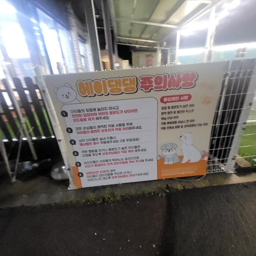 헤이댕댕 사진 6
