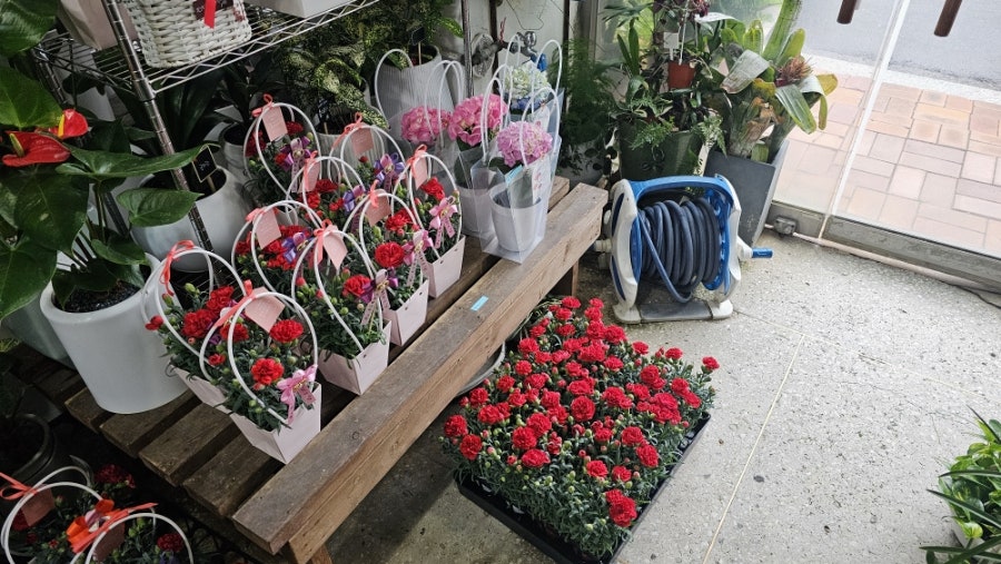 고운꽃방 사진 1