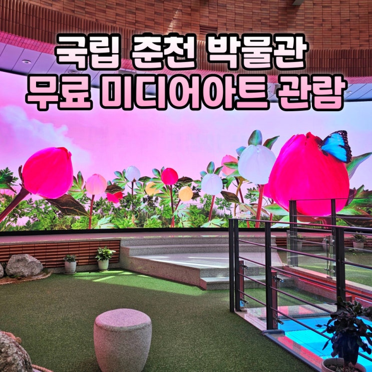 국립춘천박물관 미디어아트 춘천 볼거리 실내데이트 후기
