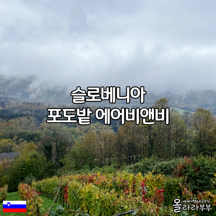  슬로베니아 자유여행 포도밭 와이너리 숙소