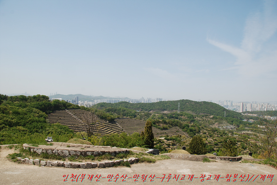 부개정 사진 6