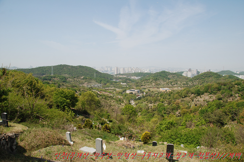 부개정 사진 5