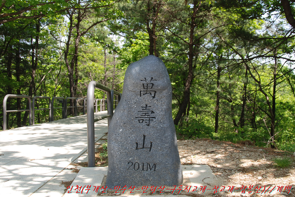 부개정 사진 3