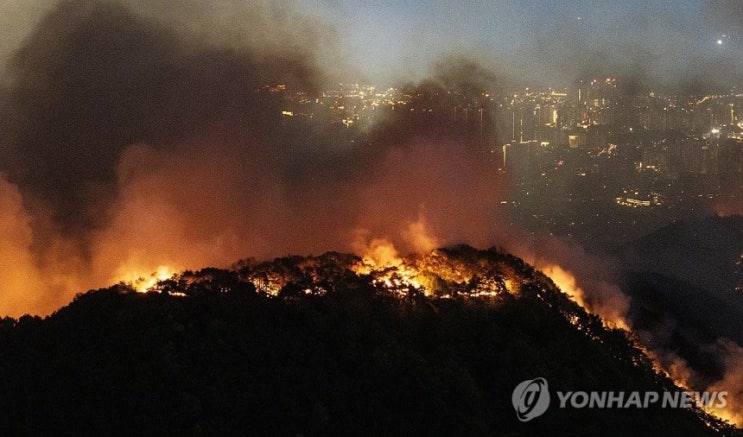 "익숙한 모든 걸 빼앗겼어요"…반복되는 산불의 경고 "익숙한 모든 걸 빼앗겼어요"…반복되는 산불의 경고