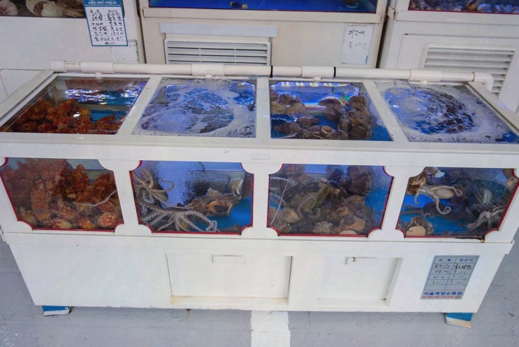  학동수산시장, 여수시청 맛집에서 신선한 해산물을 즐겼어요