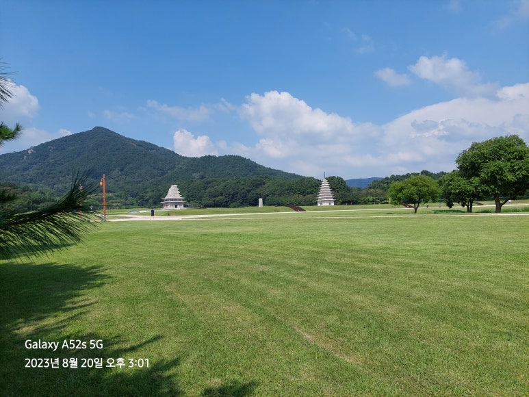 익산시 시민 안전 보험
