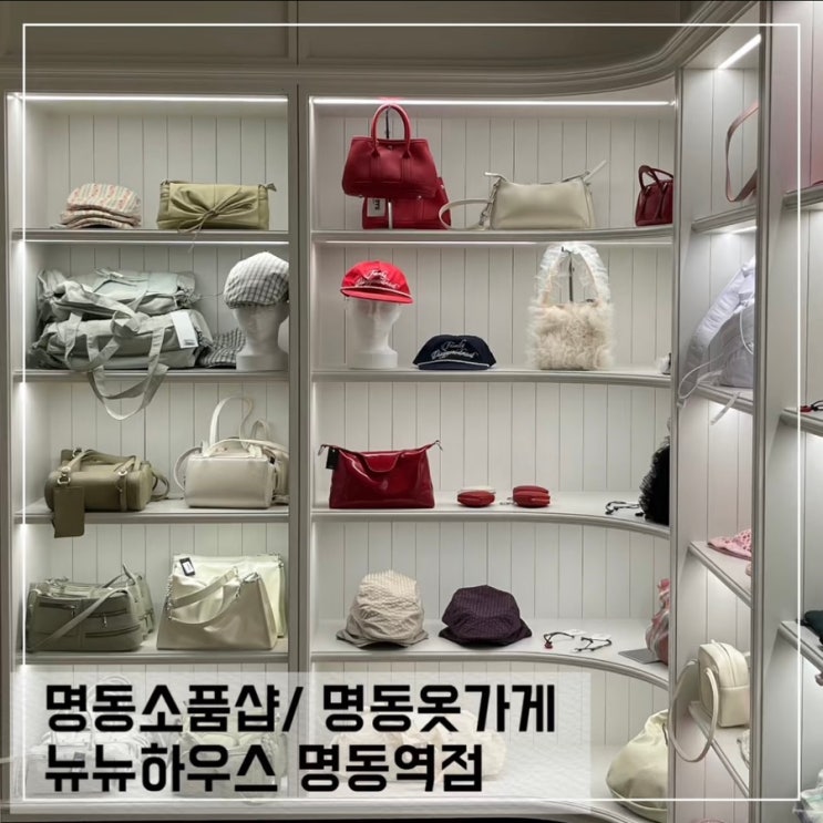  명동소품샵 뉴뉴하우스 NYUNYU HOUSE; 명동 가볼만한곳 명동옷가게 추천