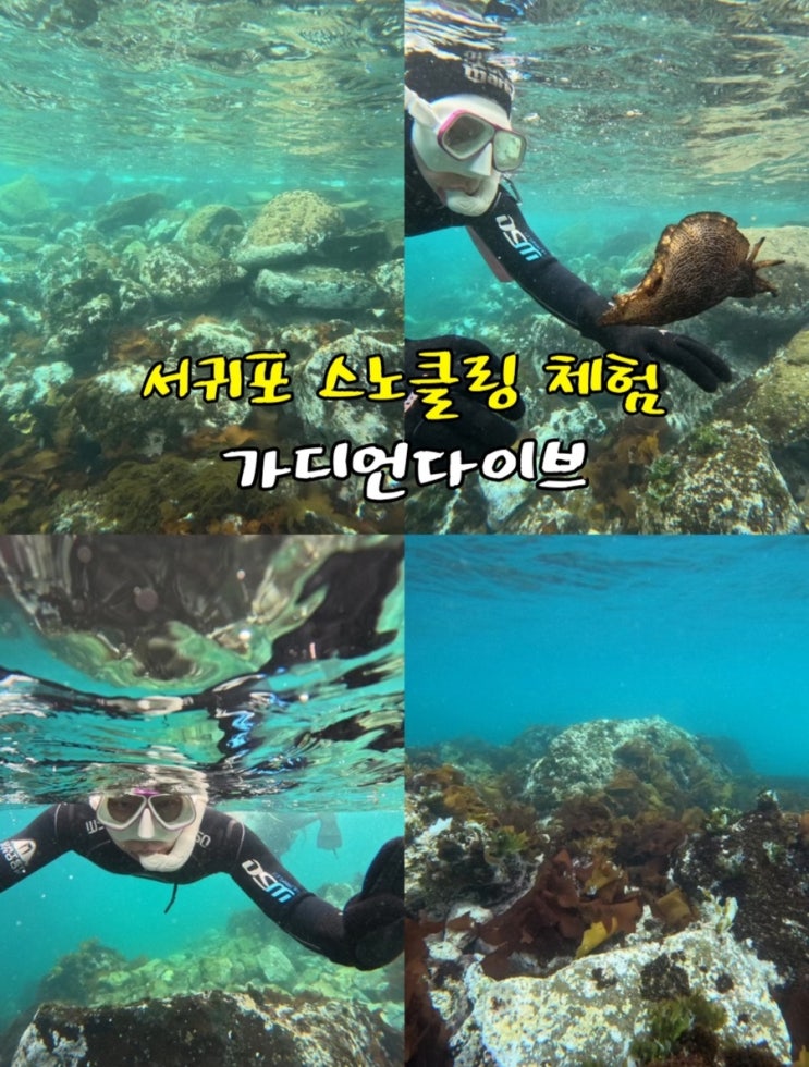  가디언다이브 서귀포 스노클링 체험 초보자를 위한 액티비티 제주바다 추천해요(Jeju Snorkeling)