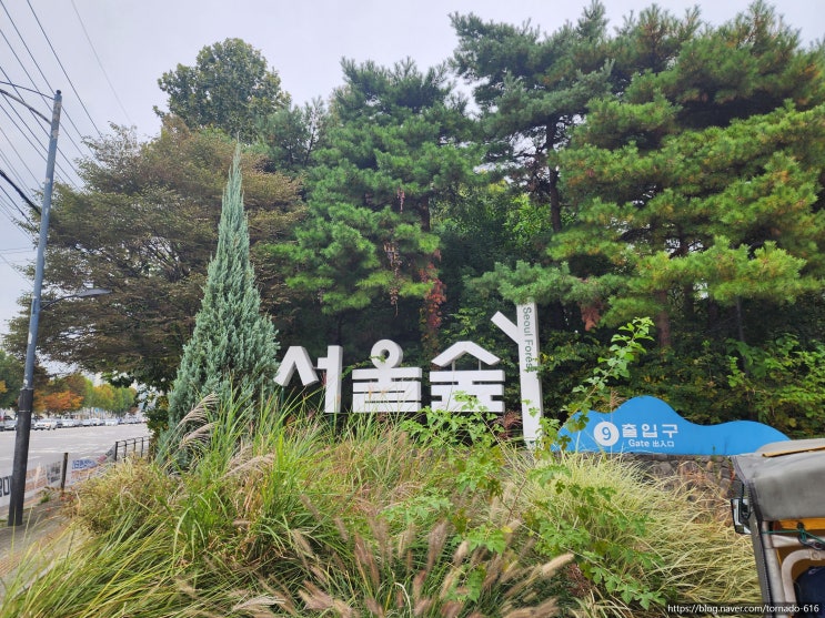  [서울숲 나들이] 가을 정취 속 꽃사슴 만나고 숲속놀이터까지