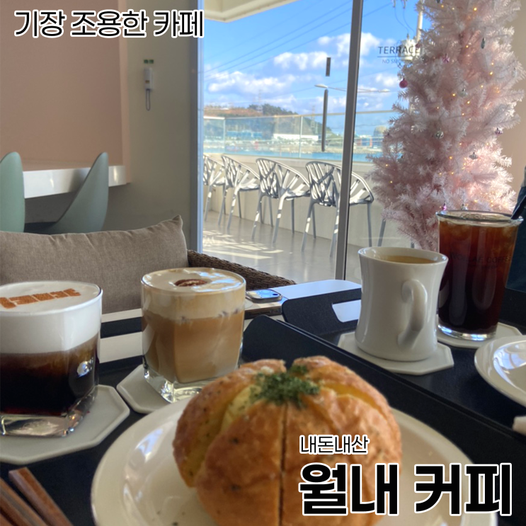  [기장 카페]기장 조용한 카페_월내커피