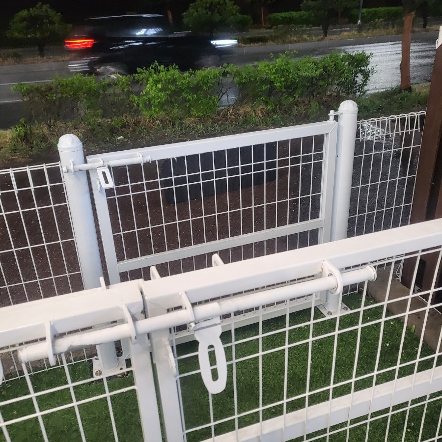 헤이댕댕 사진 5