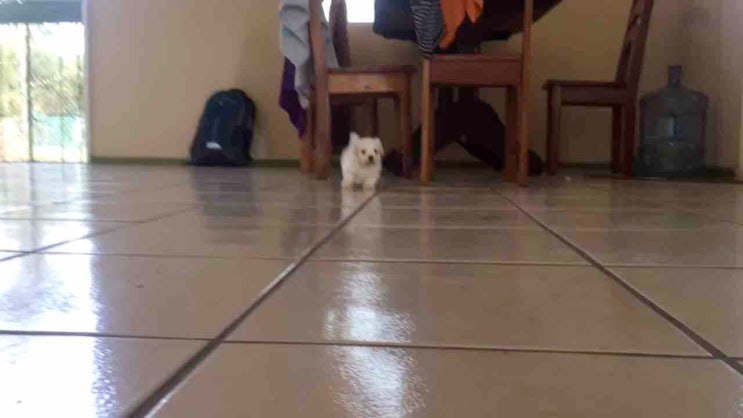  INTP에게 어울리는 직업: 논리와 창의 사이, 지적 탐험을 위한 길
