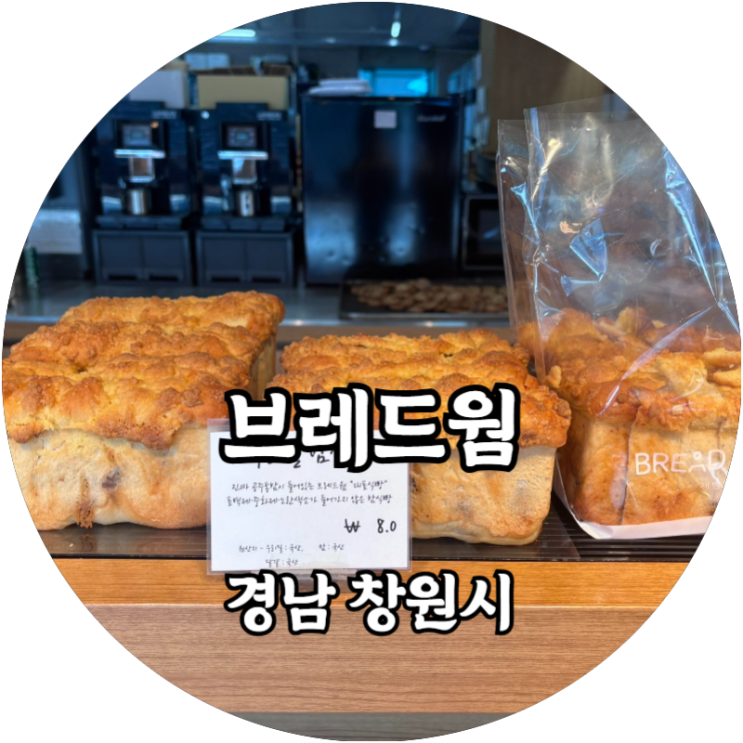  창원 브레드웜 최고의 밤식빵과 건강빵 맛집을 찾았다!
