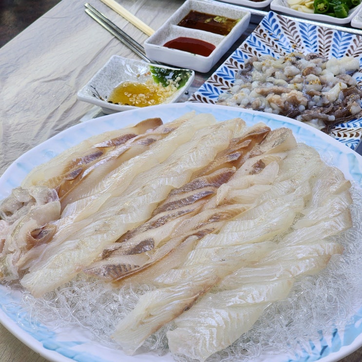  속초관광수산시장 회센터 횟집 속초 중앙시장 먹거리 맛집