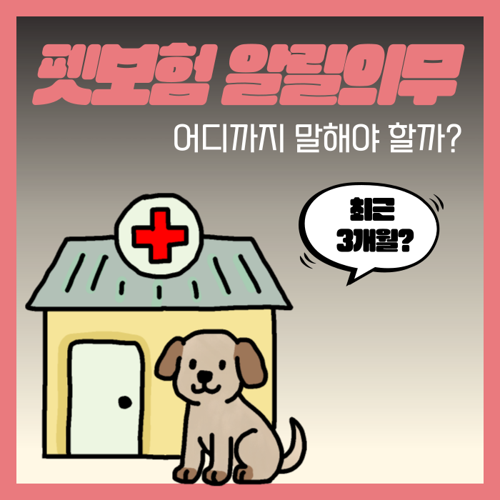펫보험 알릴의무 고지사항 어디까지 말해야 할까?