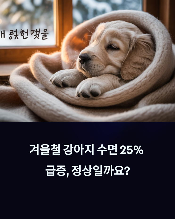  겨울만 되면 쿨쿨? 강아지 잠 급증 원인 & 대처법 완벽 가이드!