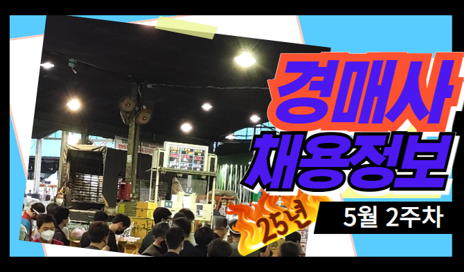 [25년 5월 2주차 채용소식] 이번 주 일하는 날은 줄었지만, 가락시장 위주 경매사 채용소식은 늘었네요~